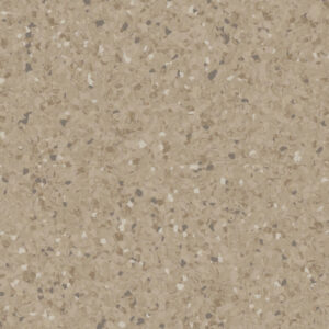 Dark Warm Beige