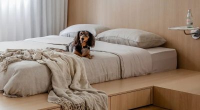 ¿Tienes una mascota en casa? Descubre cuál es el piso ideal para ella ¡y para ti!