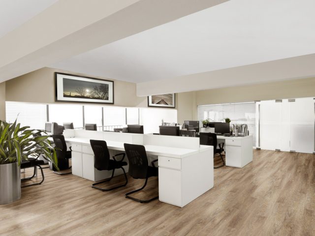 Áurea Pro Capuccino 48000870