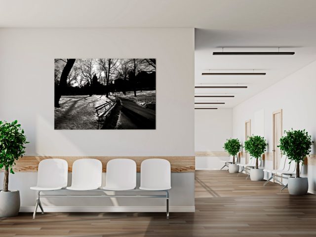 Áurea Tech Ibiza 24173351