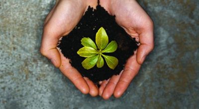 Declaraciones Ambientales de Producto: La Clave para Proyectos Sostenibles