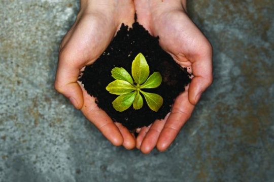 Declaraciones Ambientales de Producto: La Clave para Proyectos Sostenibles