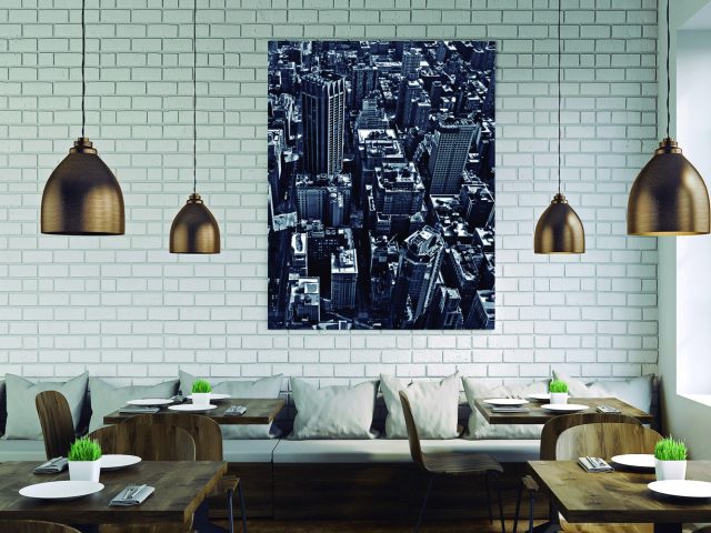 Series Jequitiba 24176661