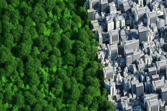 ¿Cómo contribuye Tarkett a la certificación Green Building?